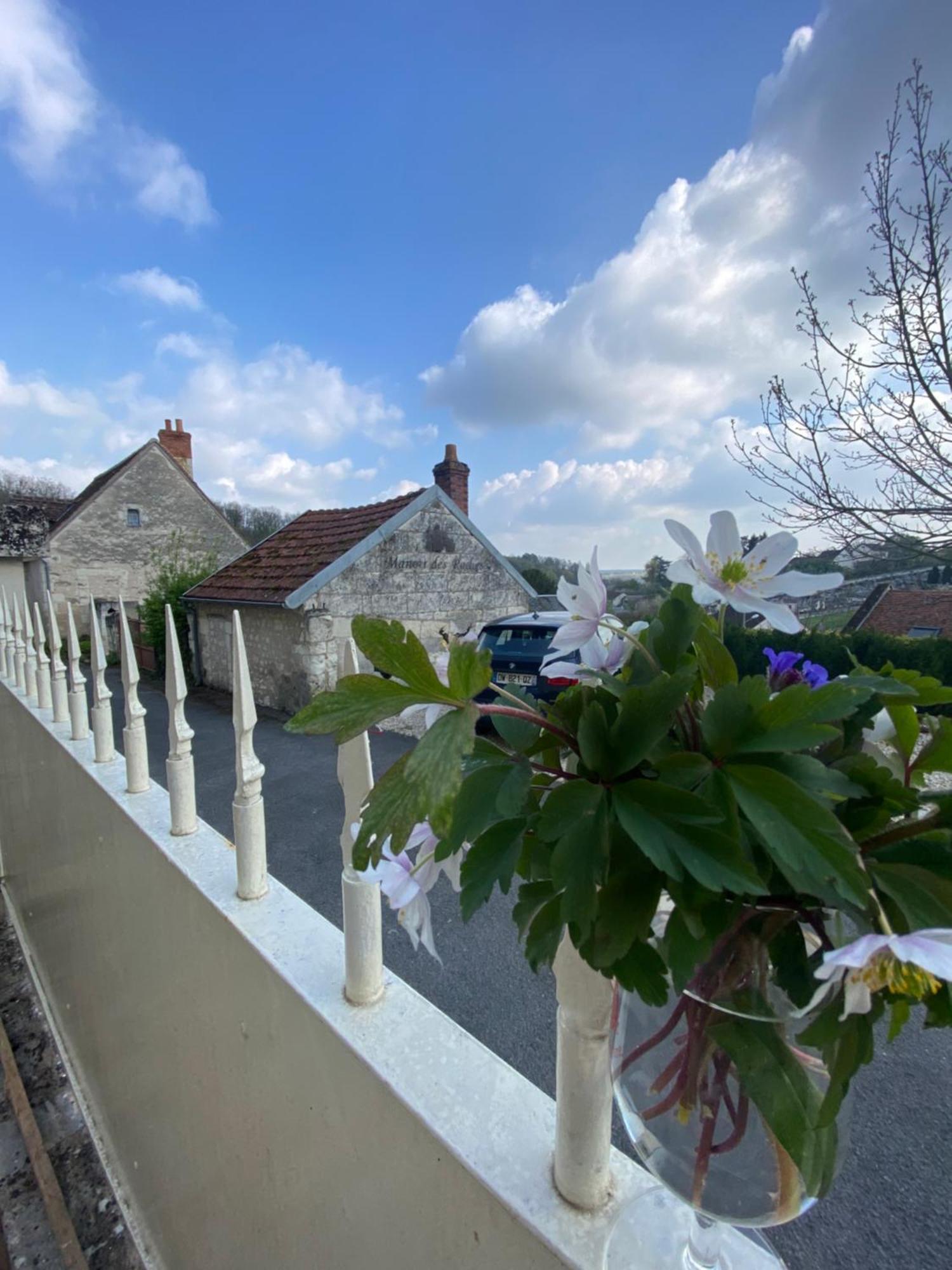 Bed and Breakfast Le Manoir Des Roches Bourre Экстерьер фото